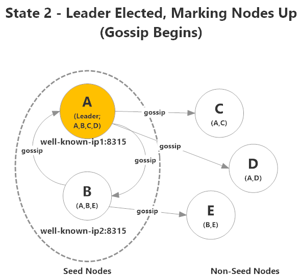 Akka.Cluster elects a leader, who begins making decisions about which nodes are up