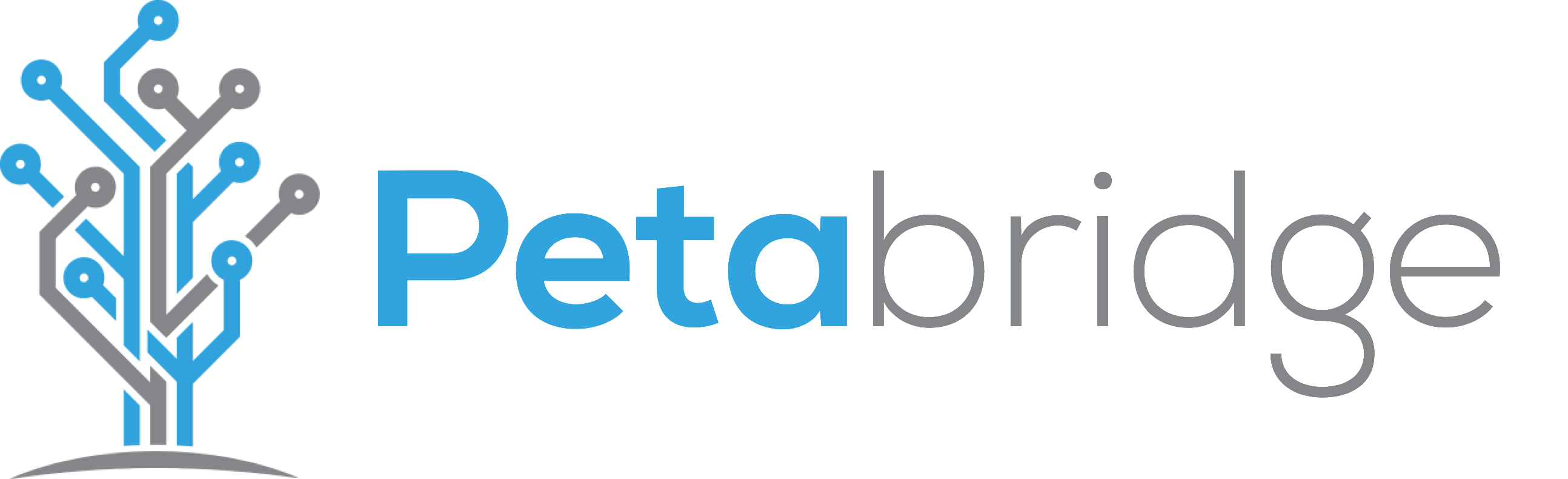 Petabridge, the Akka.NET Company.